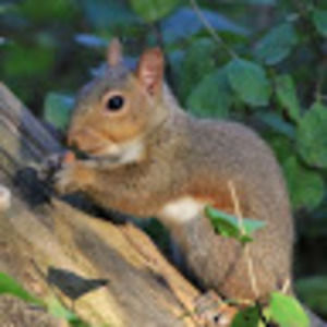 Meet your Posher, Anoushka